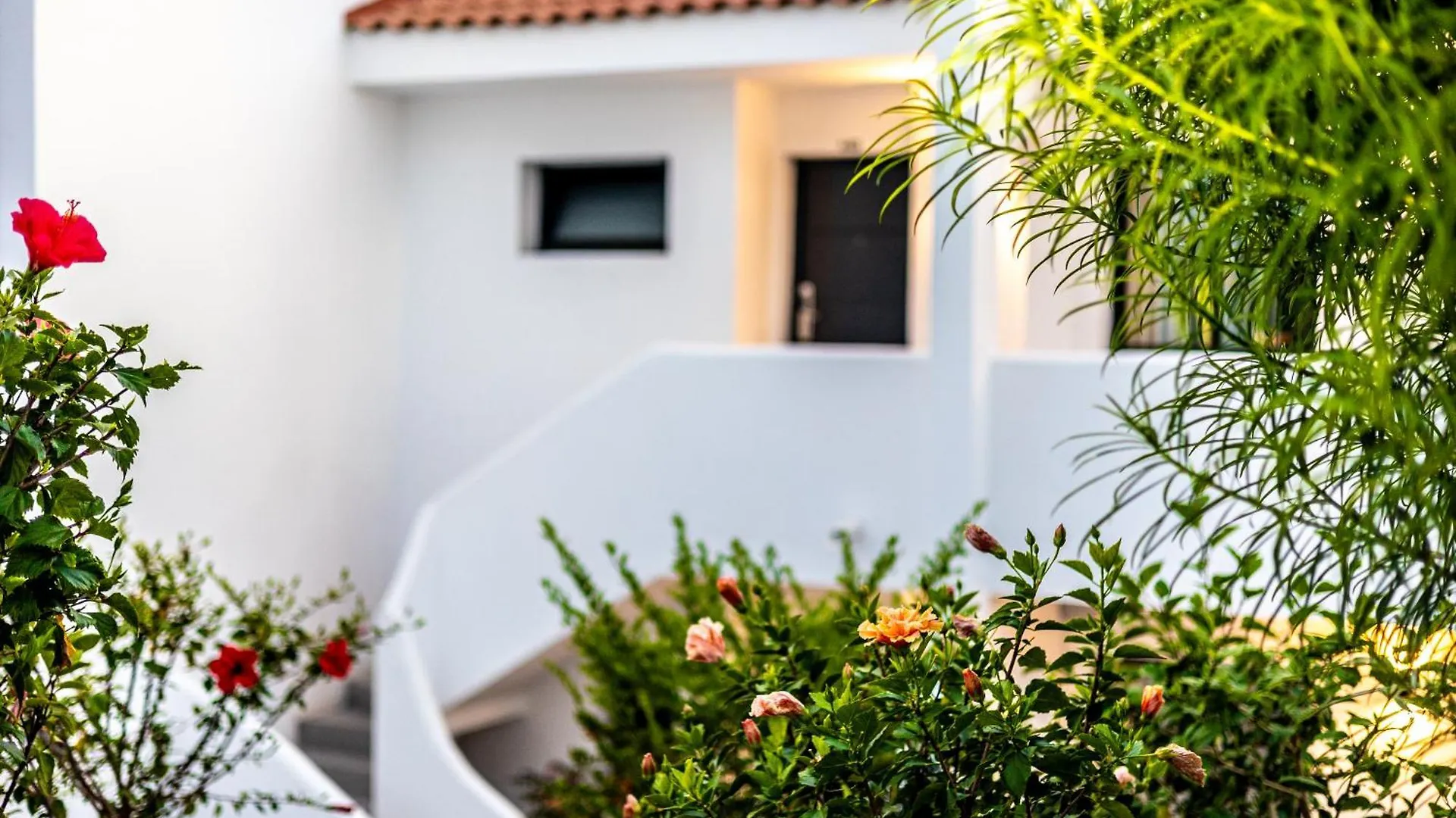 Costa Adeje Garden Aparthotel Playa de las Americas   Playa de las Americas (Tenerife)