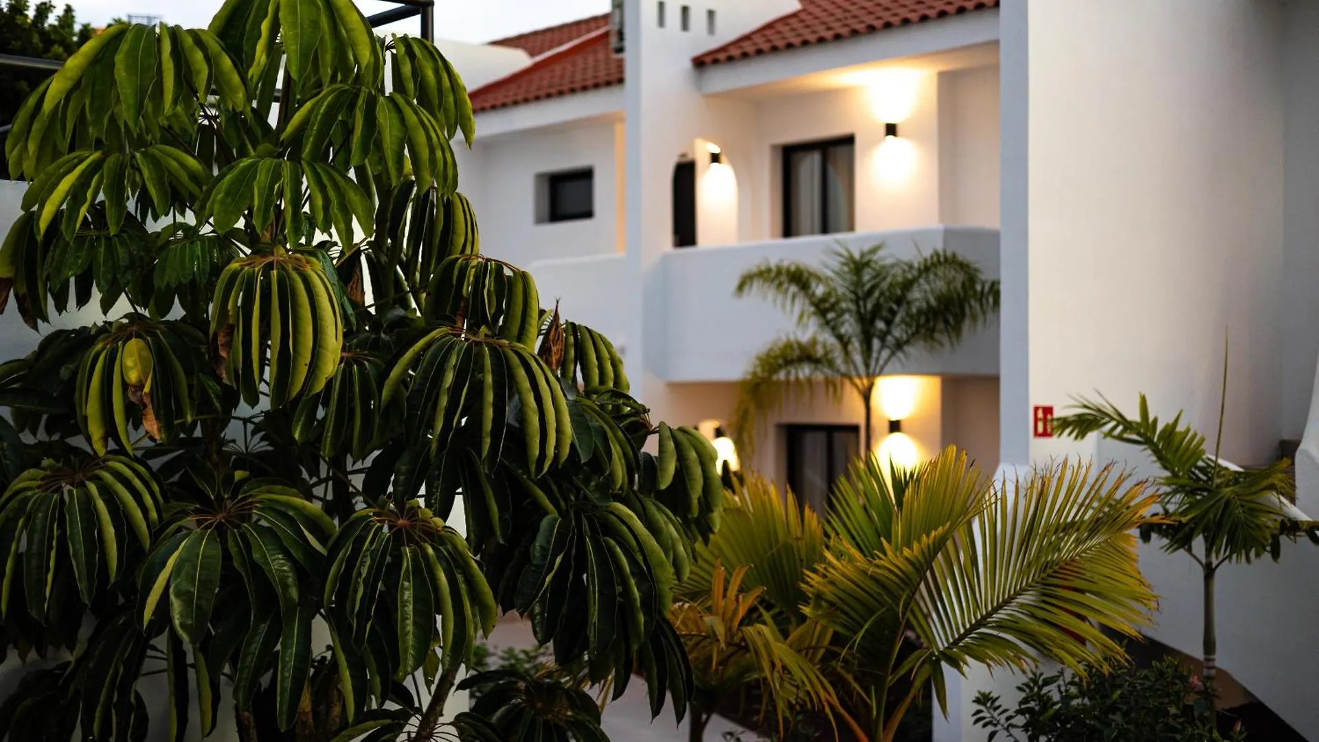***  Costa Adeje Garden Aparthotel Playa de las Americas  Hiszpania