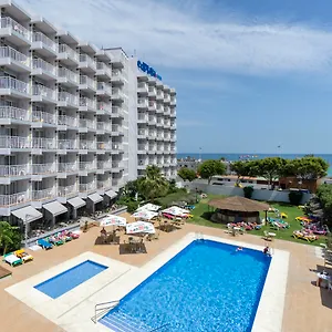 book here